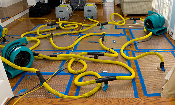 Professional Water Extraction technician working in Weston, CT